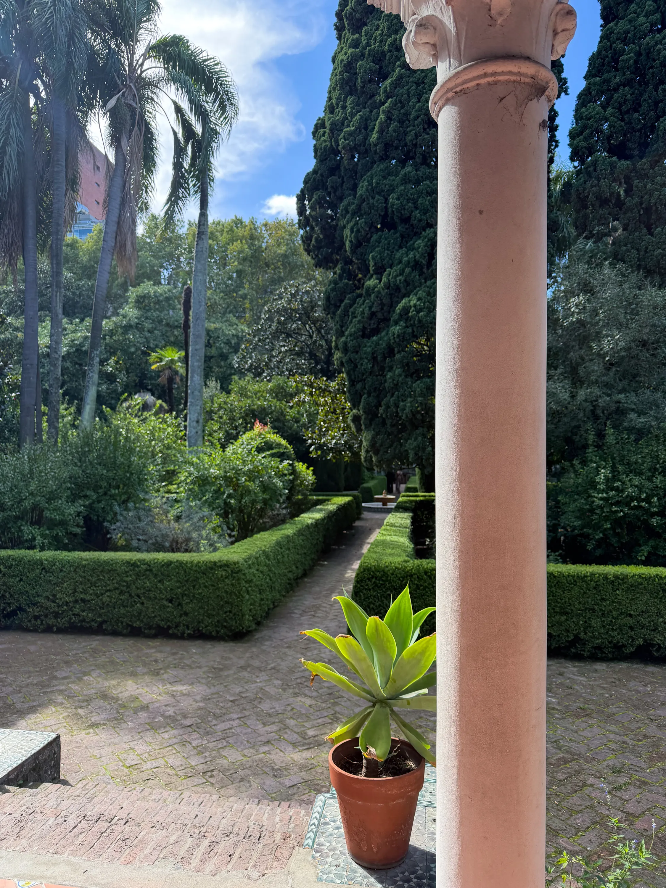 Entorno barrial Arcos 2330, Belgrano — 2