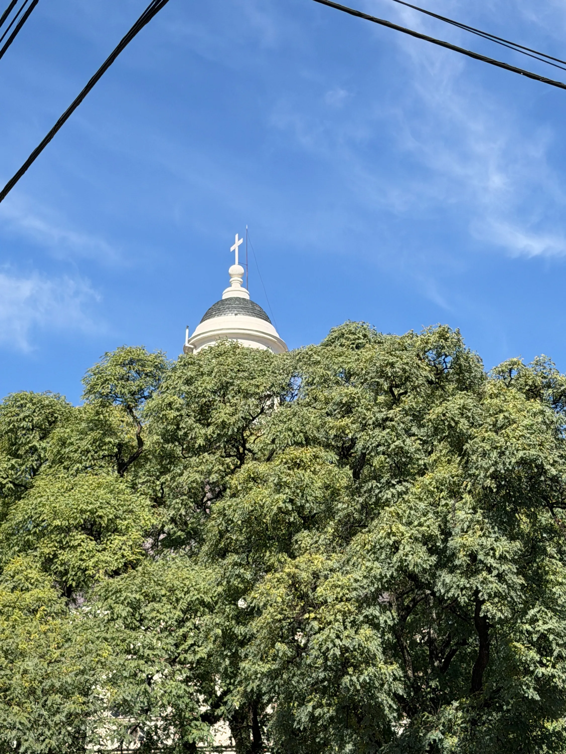 Entorno barrial Arcos 2330, Belgrano — 6