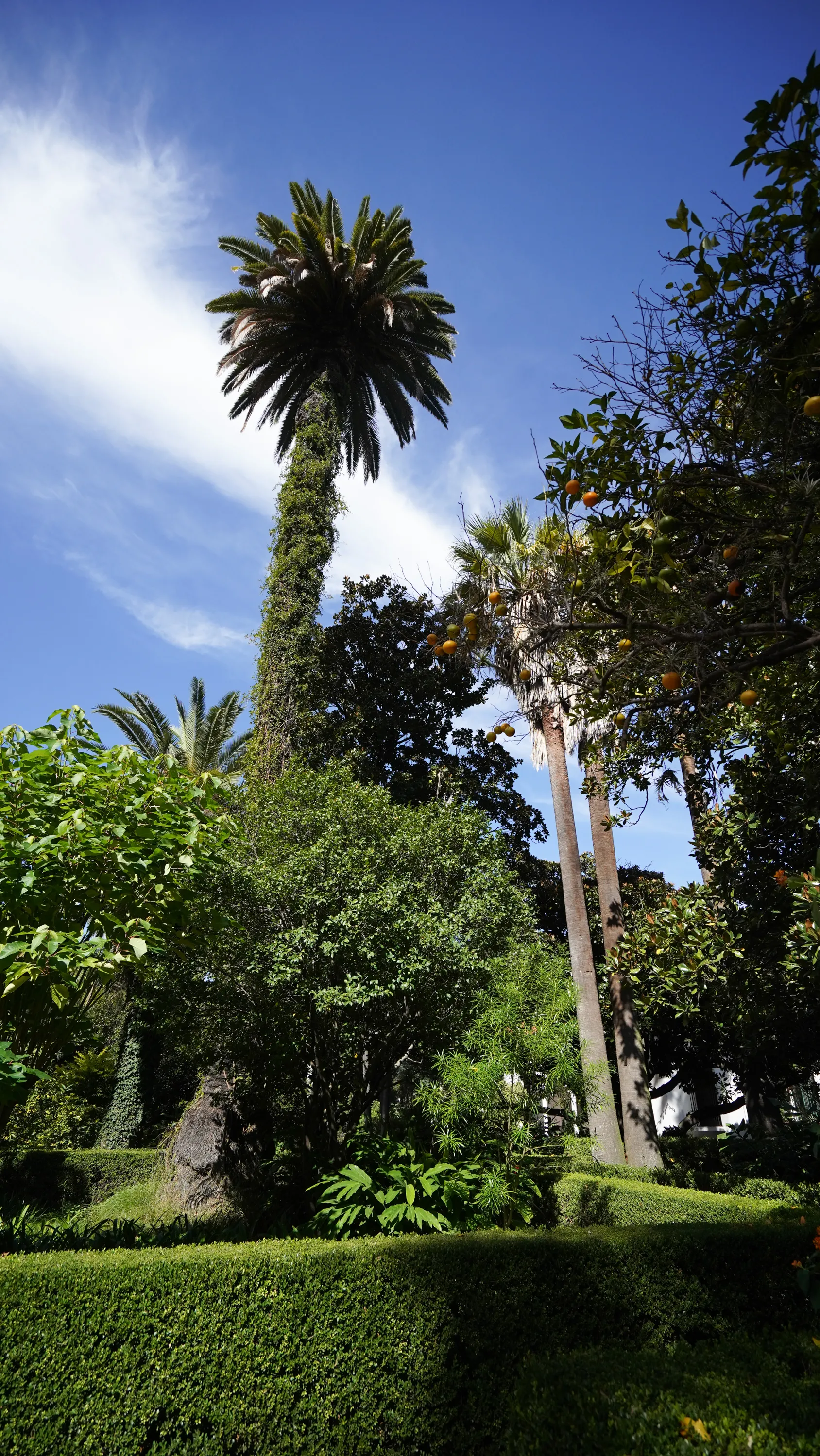 Entorno barrial Arcos 2330, Belgrano — 8