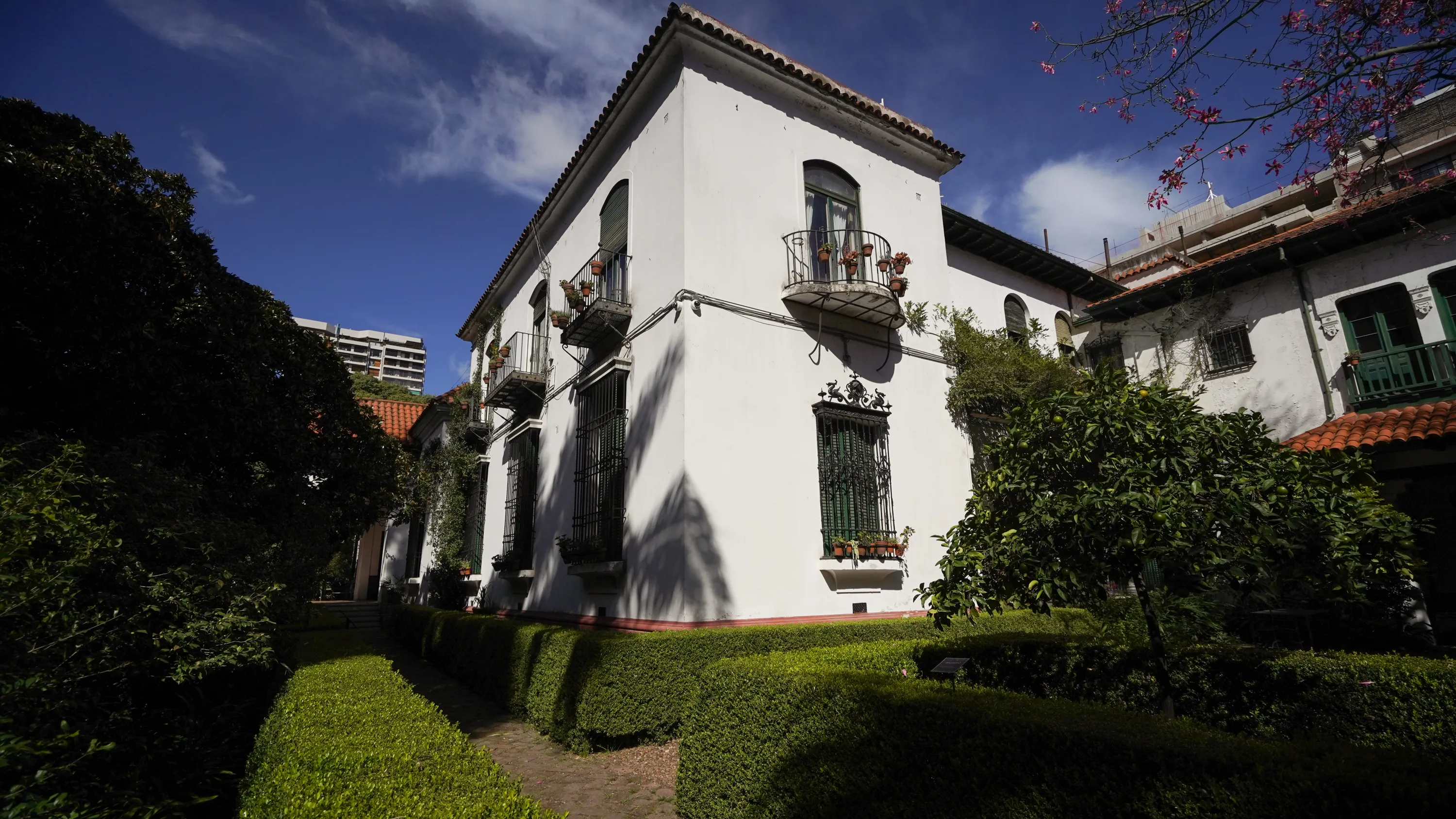 Entorno barrial Arcos 2330, Belgrano — 9